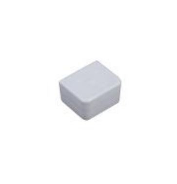 TAPA FINAL BLANCO P/CANALETA 20X20MM DXN11055