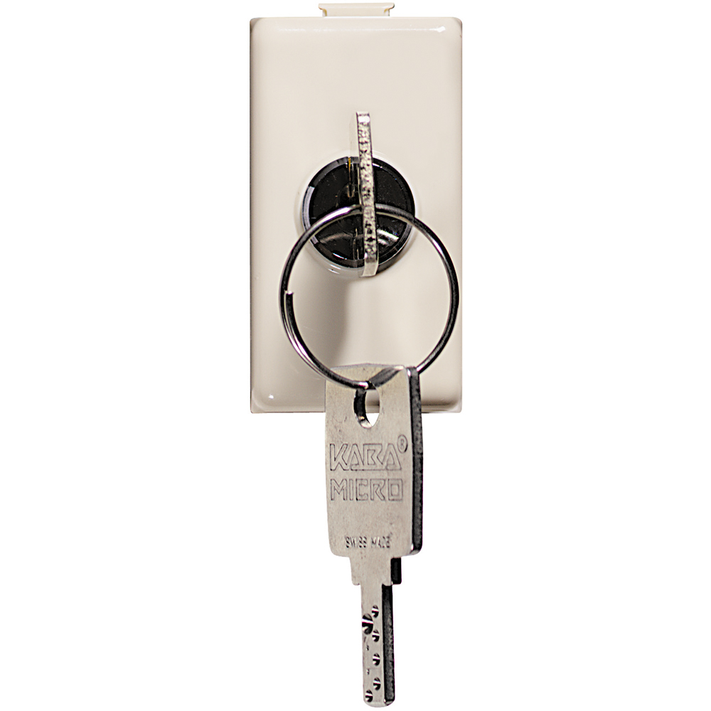 MATIX DADO INTERRUPTOR 3 VIAS CON LLAVE 10A 250V 1 MOD MARFIL A5007D